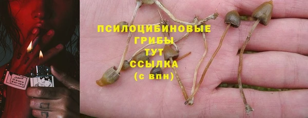 стаф Пионерский
